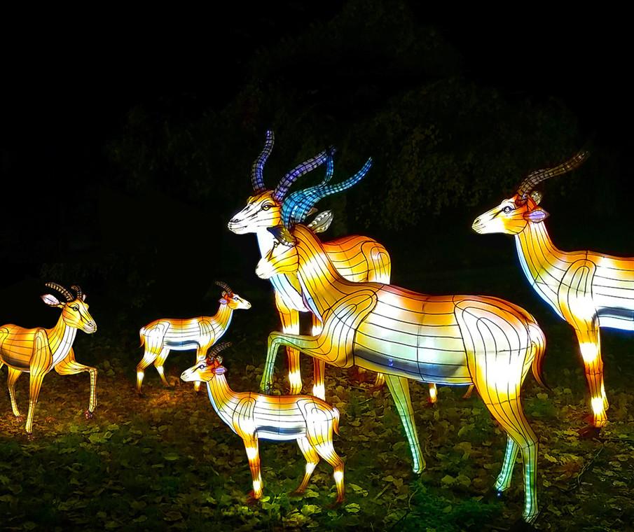 Moonlight lantern festival Part 1