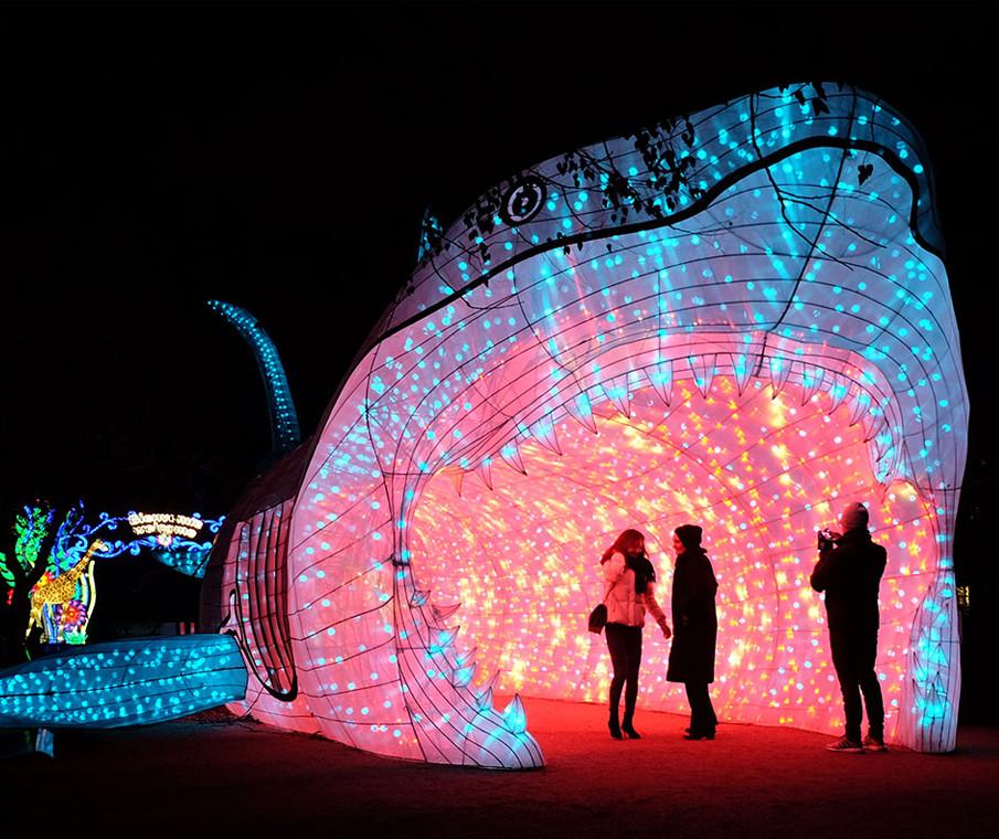 Moonlight lantern festival Part 2